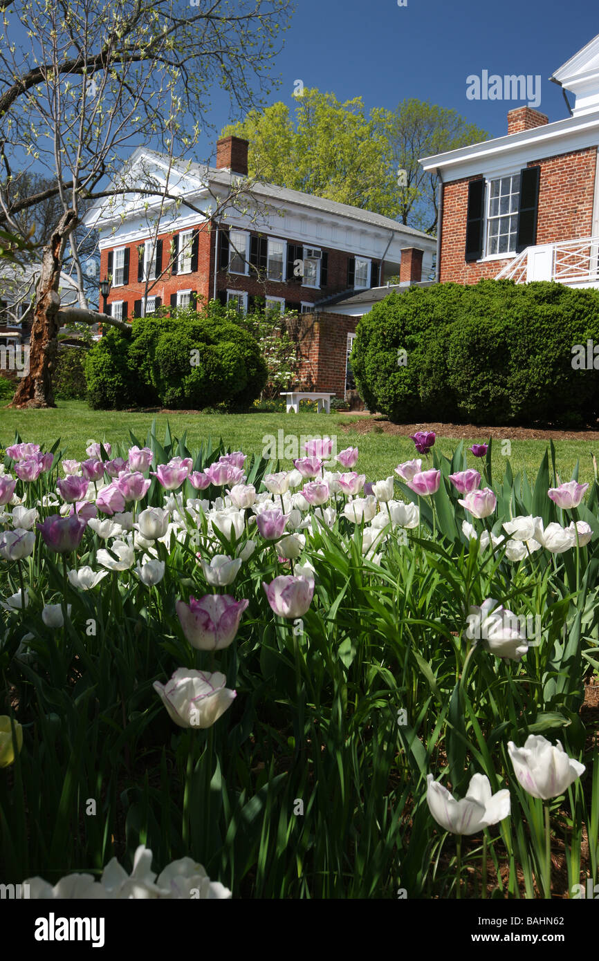 The pavilion gardens and architecture at the University of Virginia