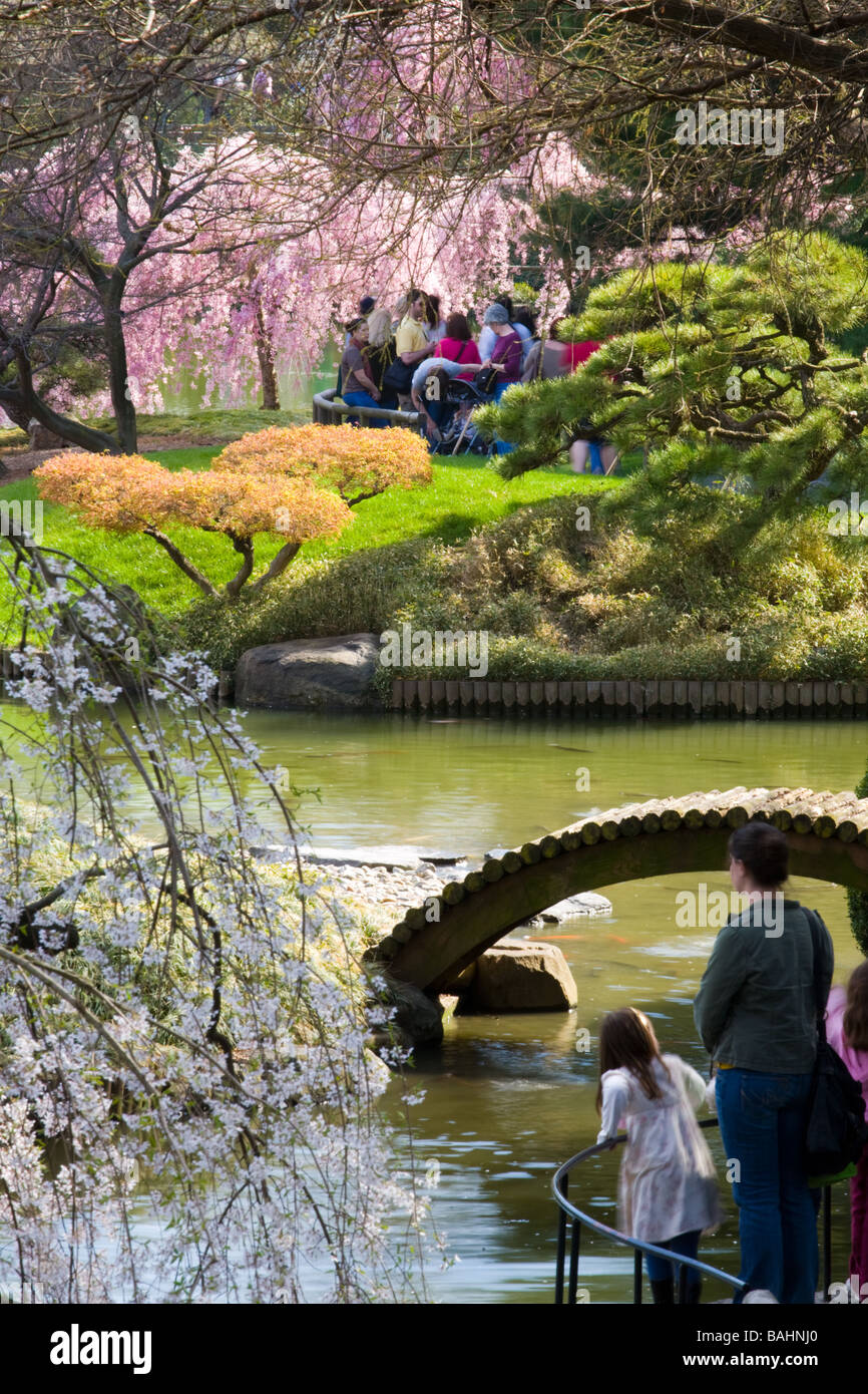 Cherry trees flowering means it's April at the Japanese Garden at ...