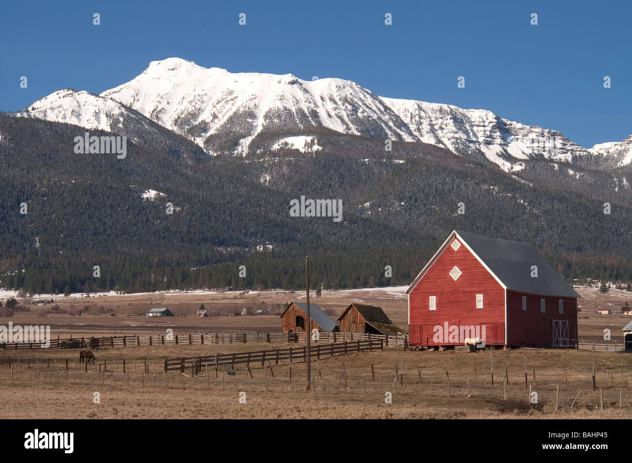 Red Barn in Field on Farm or Ranch at the base of the Wallowa mountians Stock Photo