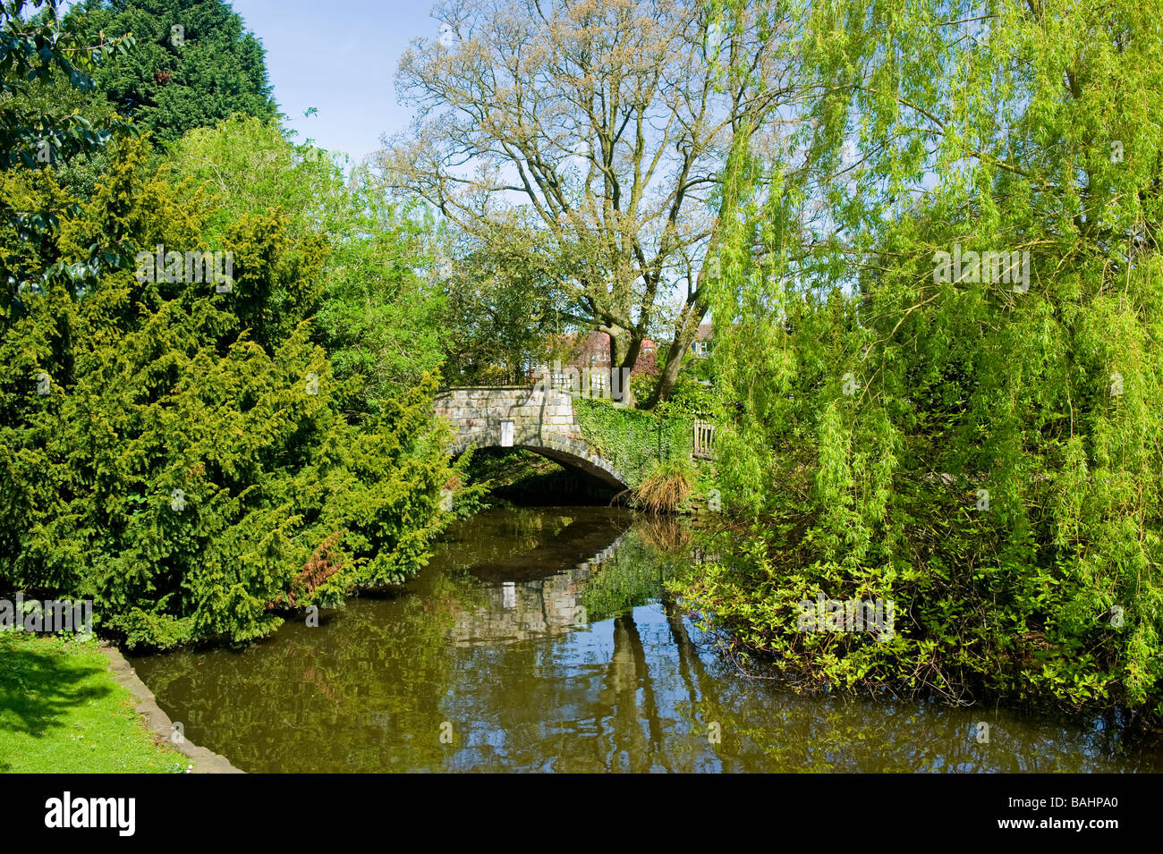 Spring Golders Hill Park Golders Green ornamental pond hump backed