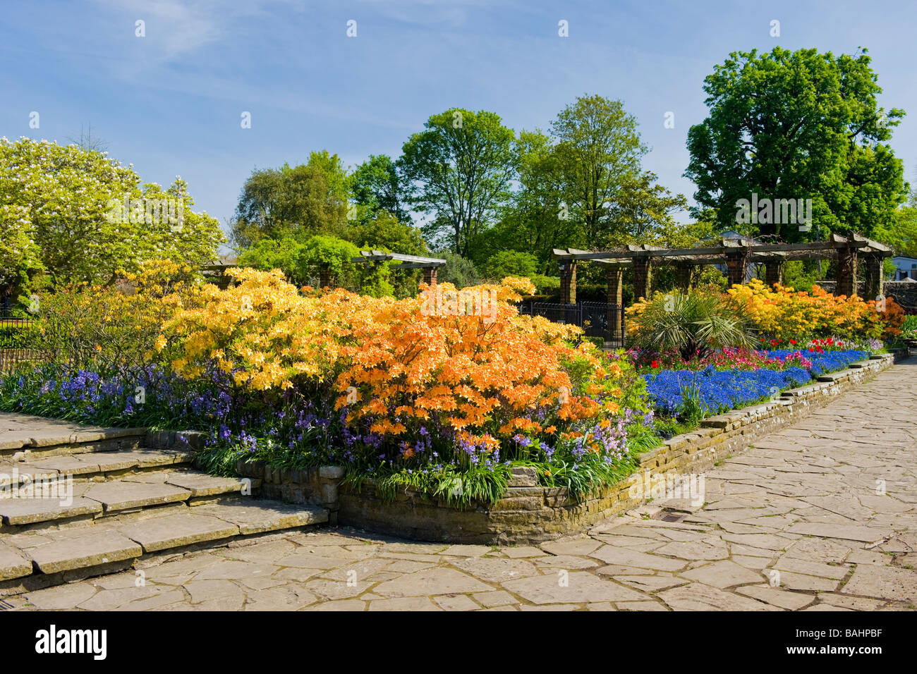 Spring in Golders Hill Park , Golders Green , ornamental gardens with