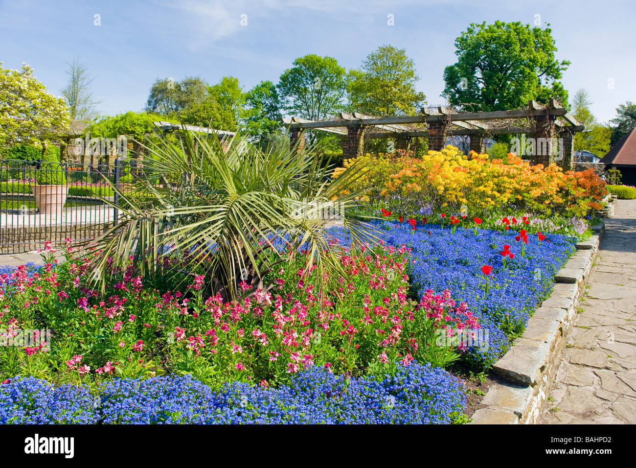 Spring in Golders Hill Park , Golders Green , ornamental gardens with colourful display of flowers , palms & trees Stock Photo