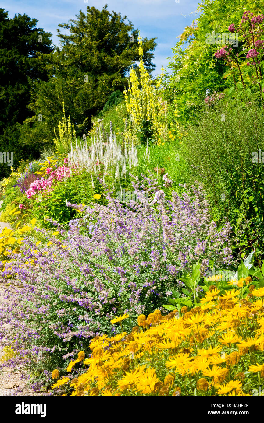 Part of the herbaceous border at Waterperry Gardens, Wheatley, Oxfordshire,Oxon, England, UK Stock Photo