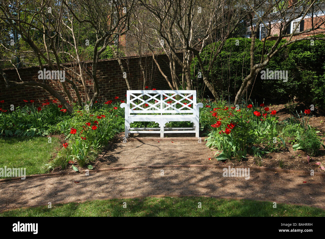 The pavilion gardens and architecture at the University of Virginia