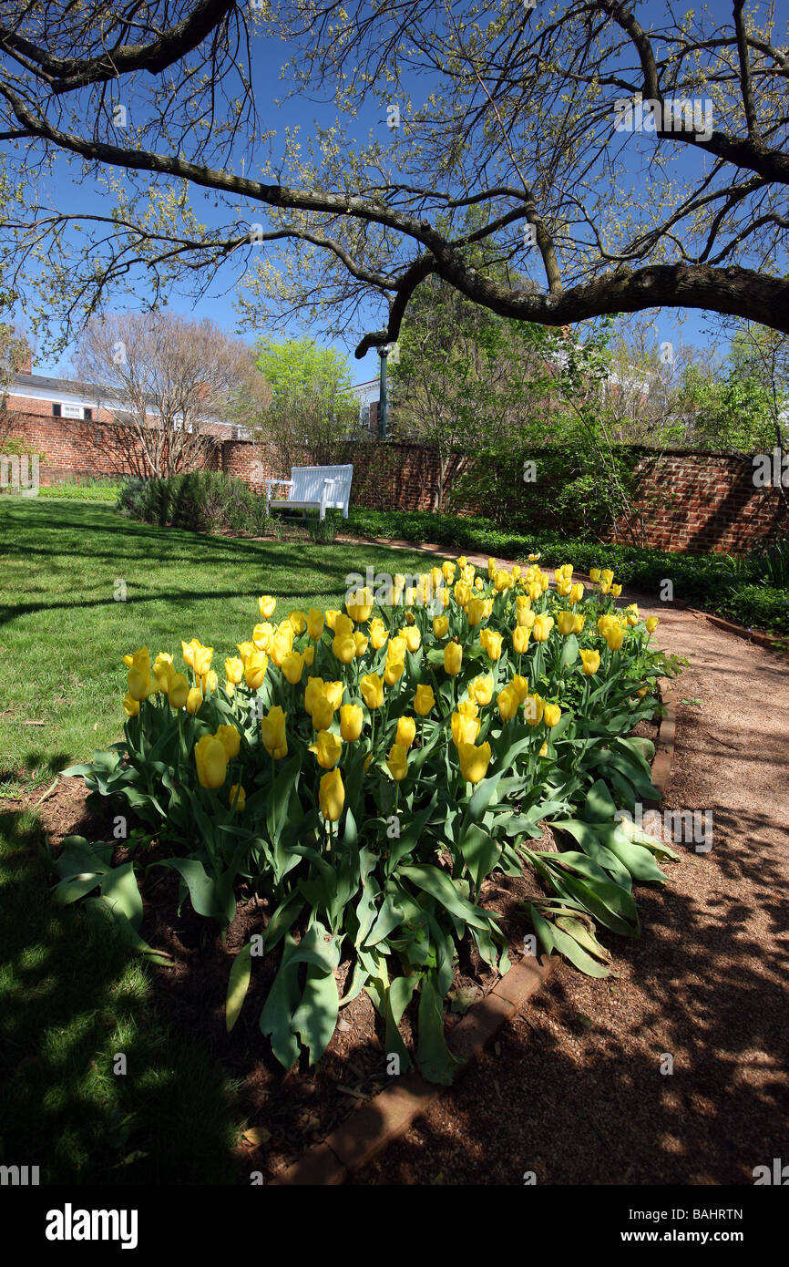 The pavilion gardens and architecture at the University of Virginia