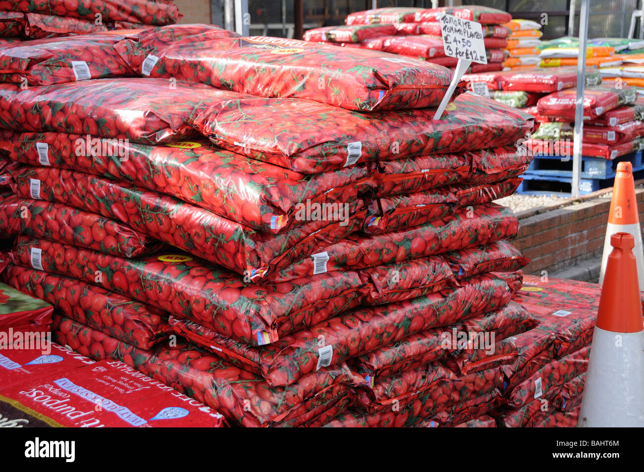 Tomato Grow Bags Stock Photo Alamy