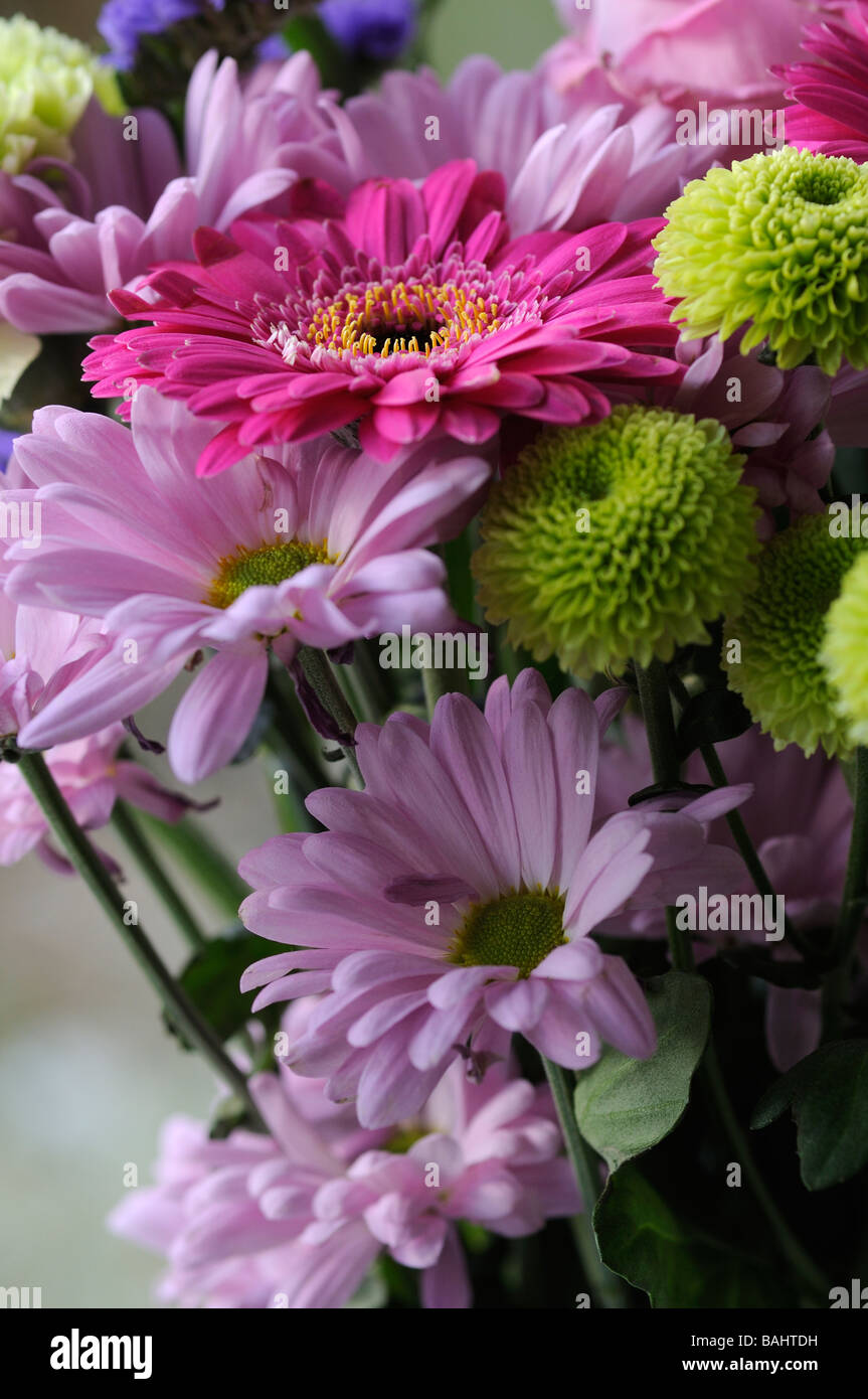 Bloom flower bouquet hi-res stock photography and images - Alamy