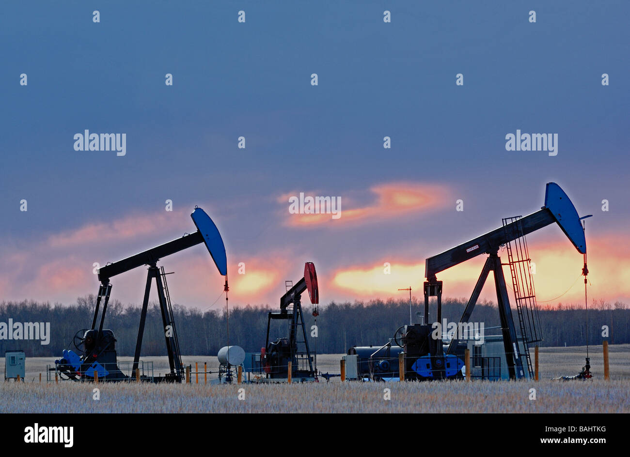 Oil Pumpjacks 09242 Stock Photo