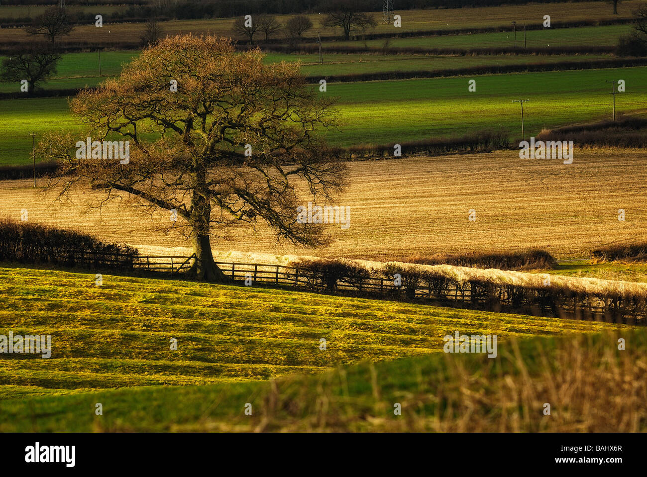 English Countryside Stock Photo