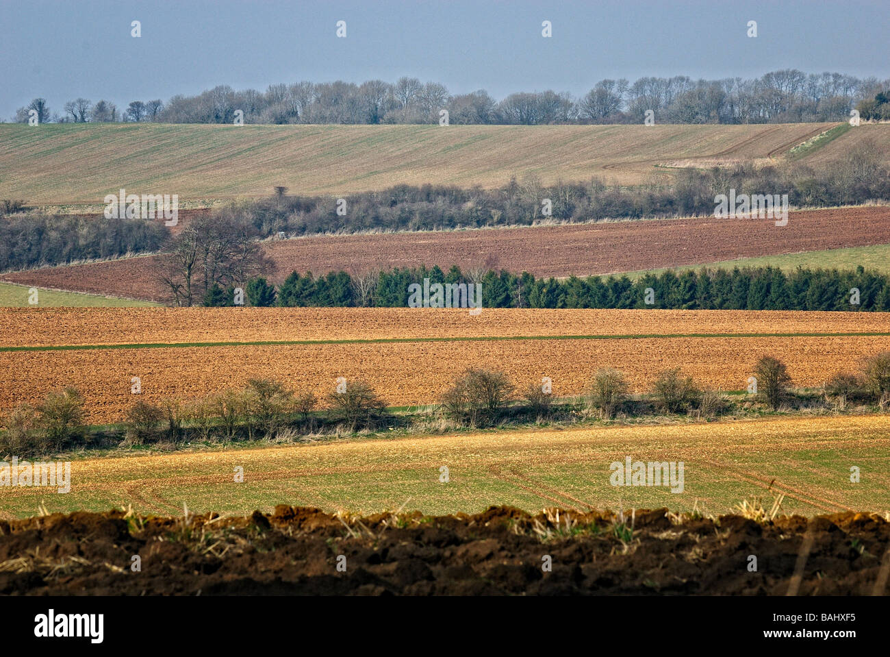 English Countryside Stock Photo