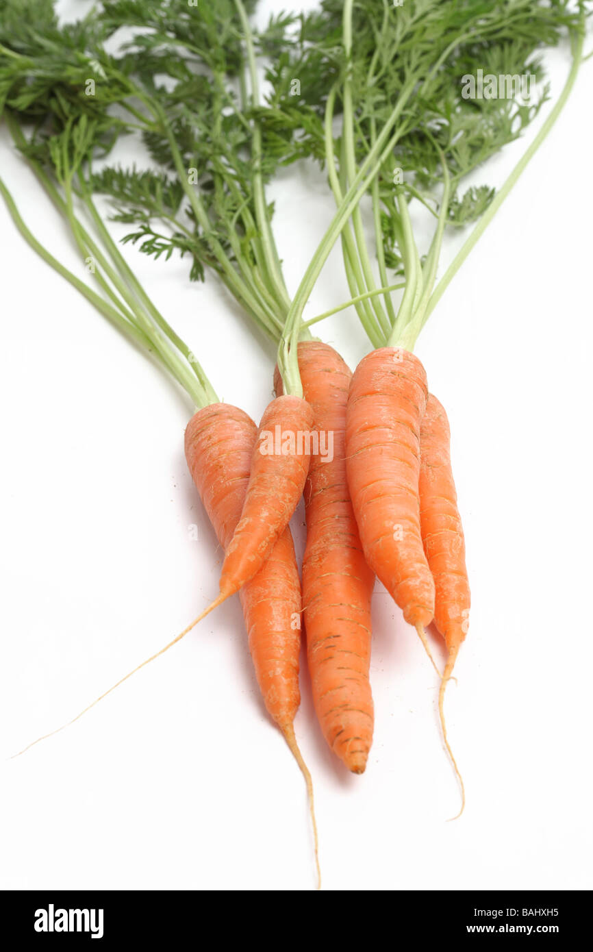 A bunch of carrots on a white background Stock Photo