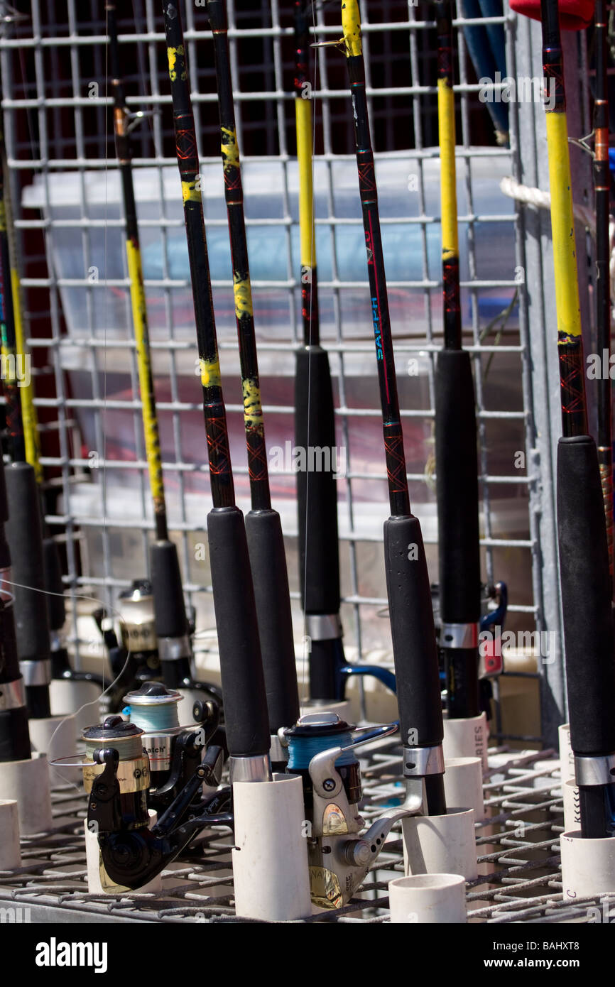 A clutch of fishing rods Stock Photo