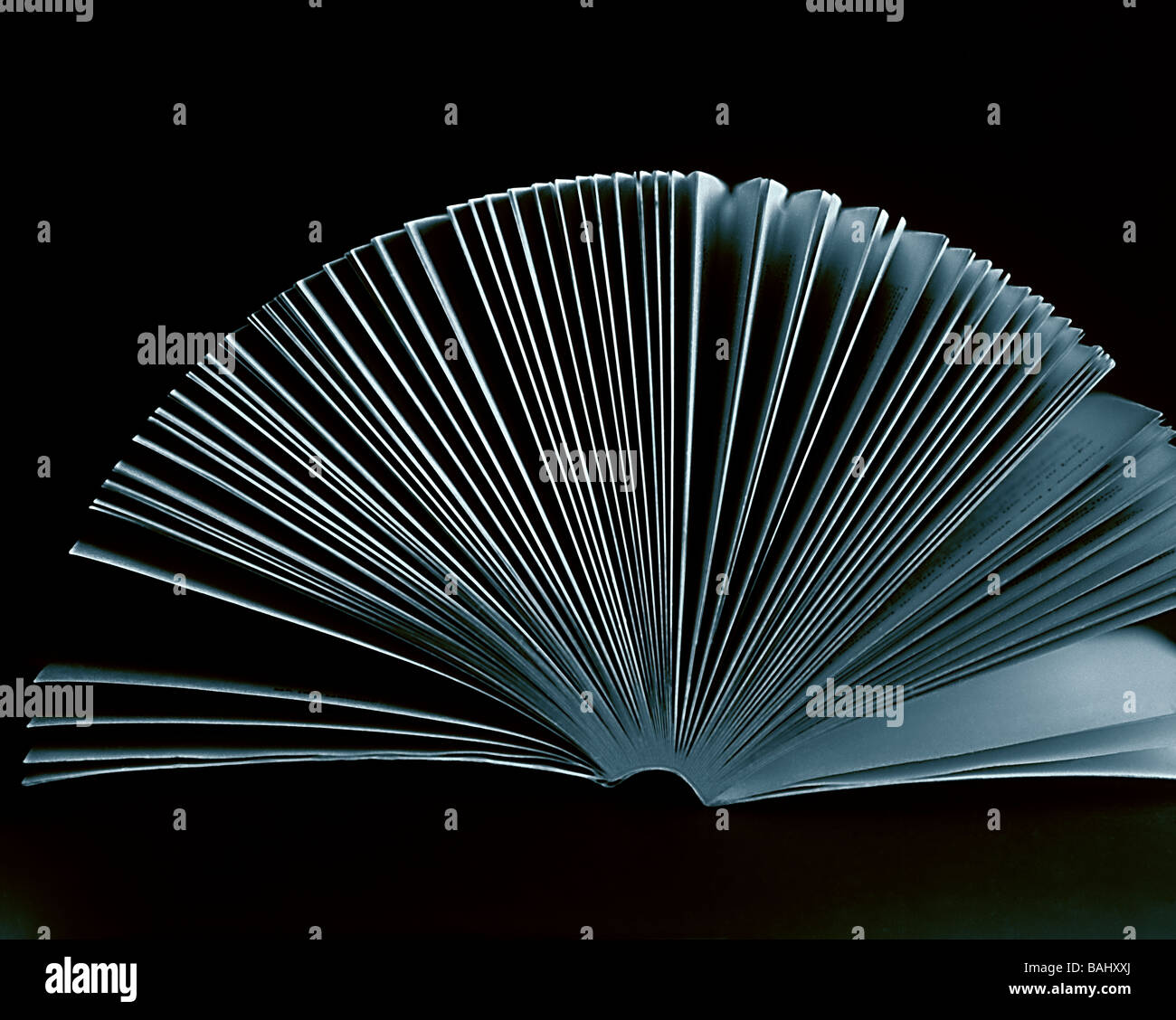 The edge of a book fanned open Stock Photo Alamy
