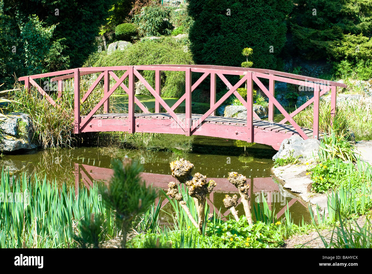 Japanese Garden Avenham Park Preston Stock Photo