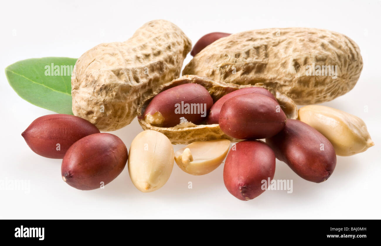 Peanut with pods and leaves on a white background Stock Photo