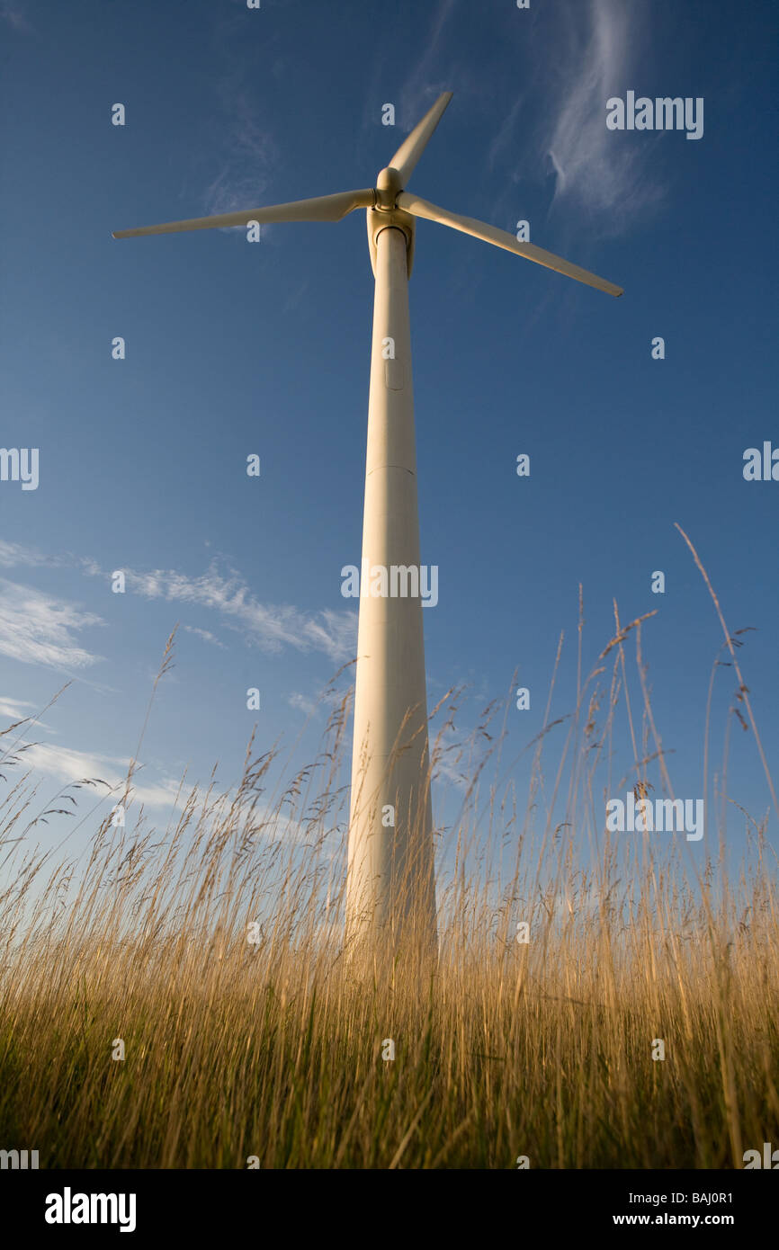 Wind Turbines in Denmark Stock Photo Alamy