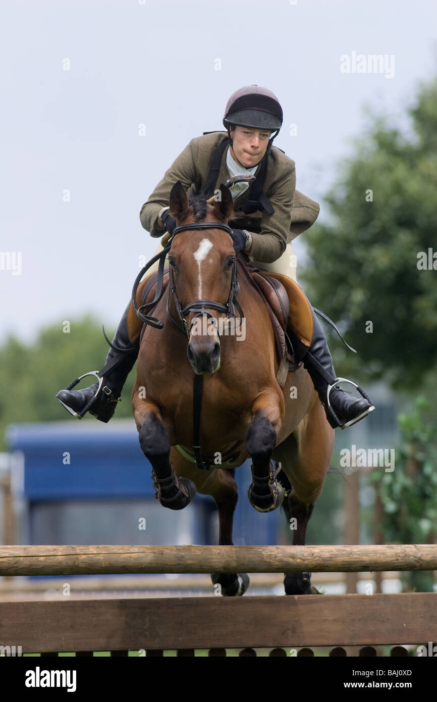 Working Hunter Jumping At A Show Stock Photo Alamy