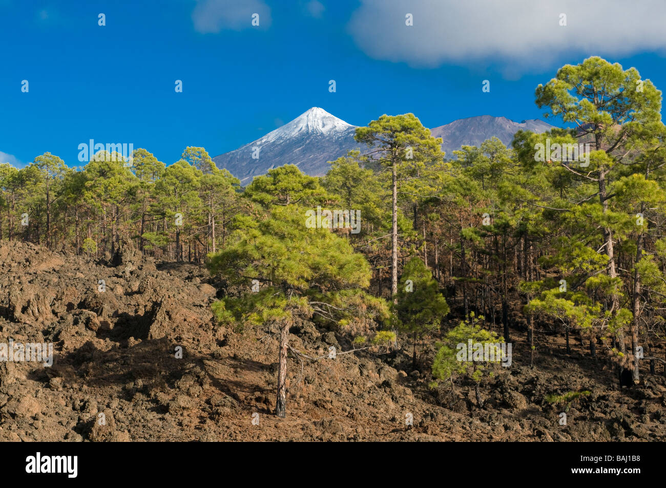 Volcano El Teide Unesco World Heritage Canary islands Spain Teneriffa Stock Photo