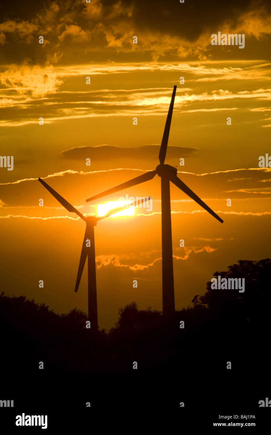 Wind Turbines in Denmark Stock Photo Alamy