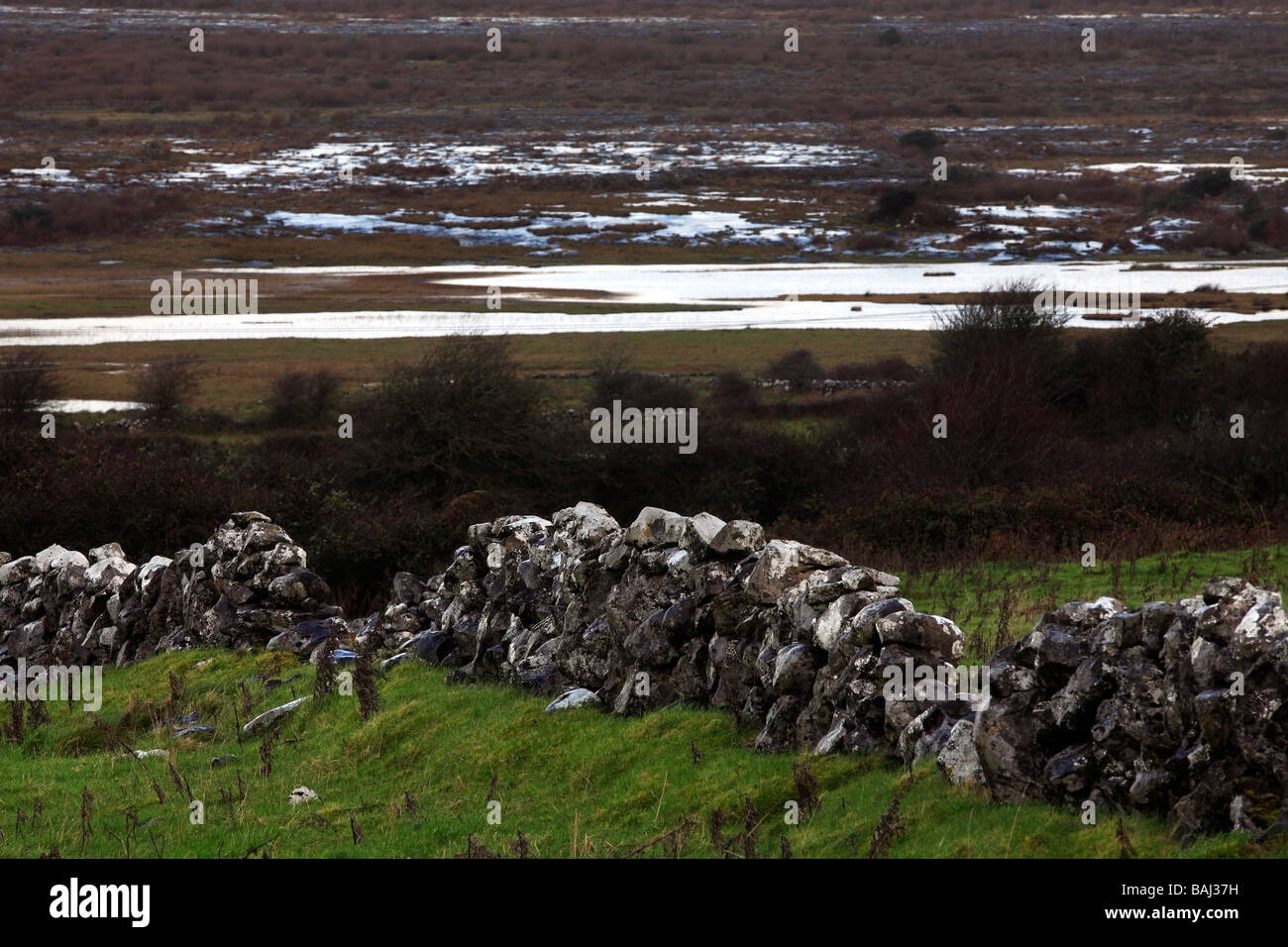 Stone Walls in Moorland Ireland Stock Photo