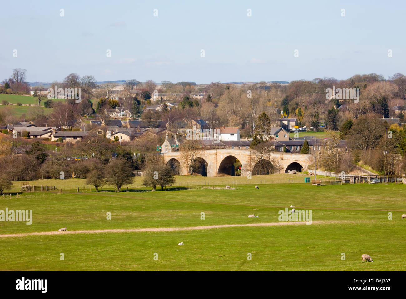 English country scene in North Tyne River valley with sheep grazing and bridge in village. Chollerford Northumberland England UK Stock Photo