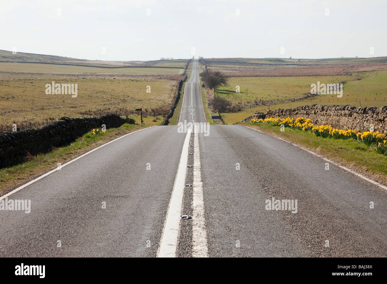 Long straight quiet empty country road route across Northumberland National Park. England UK Britain. Stock Photo