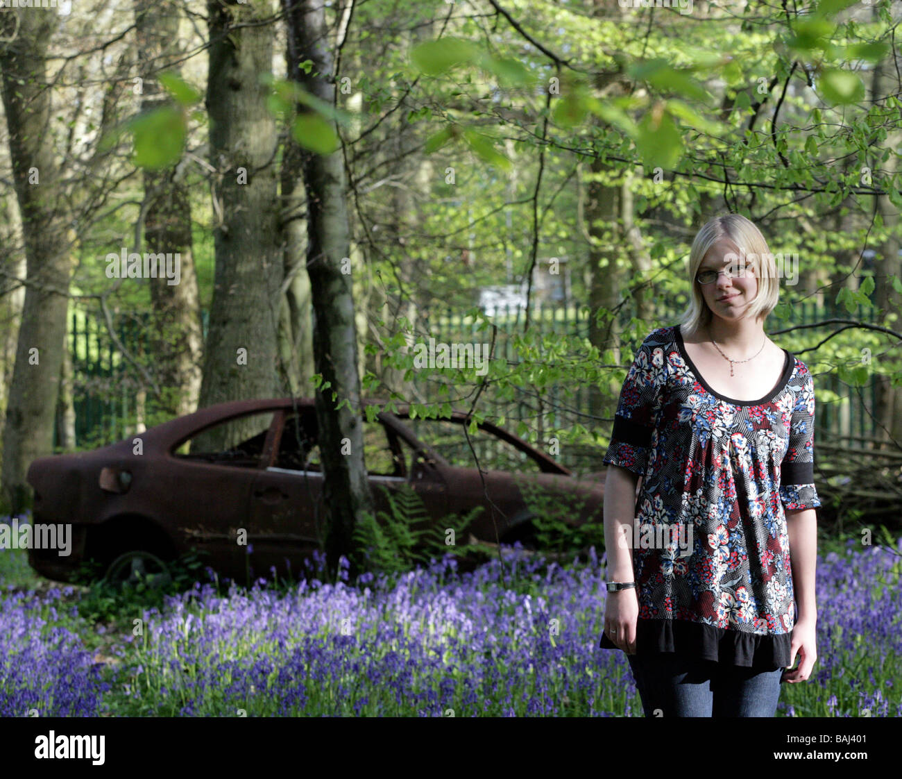 The peaceful environment surrounded by bluebells on Ranmore Common is ruined by a dumped car Stock Photo