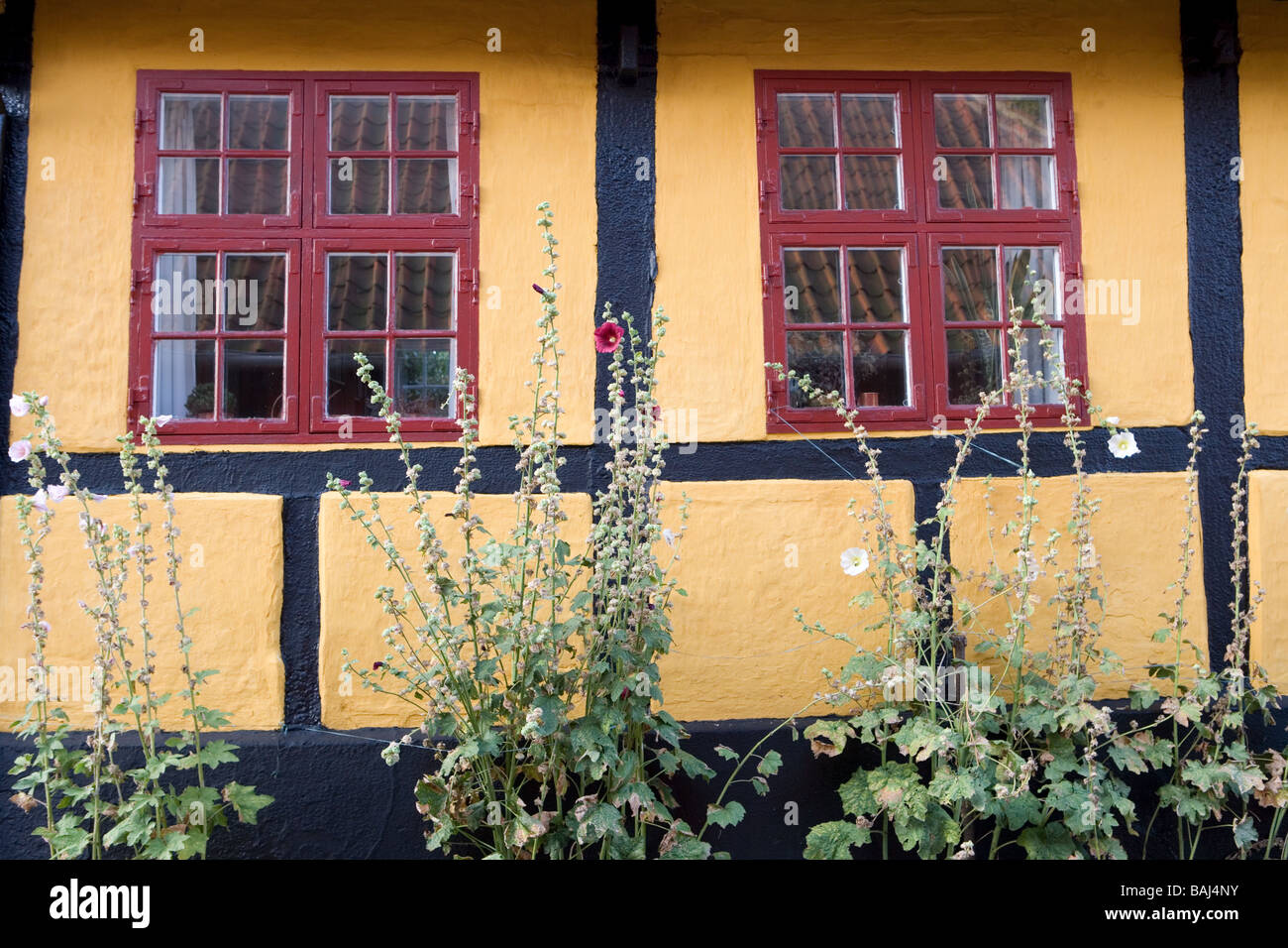 Old traditional homes in Bornholm Denmark Stock Photo Alamy