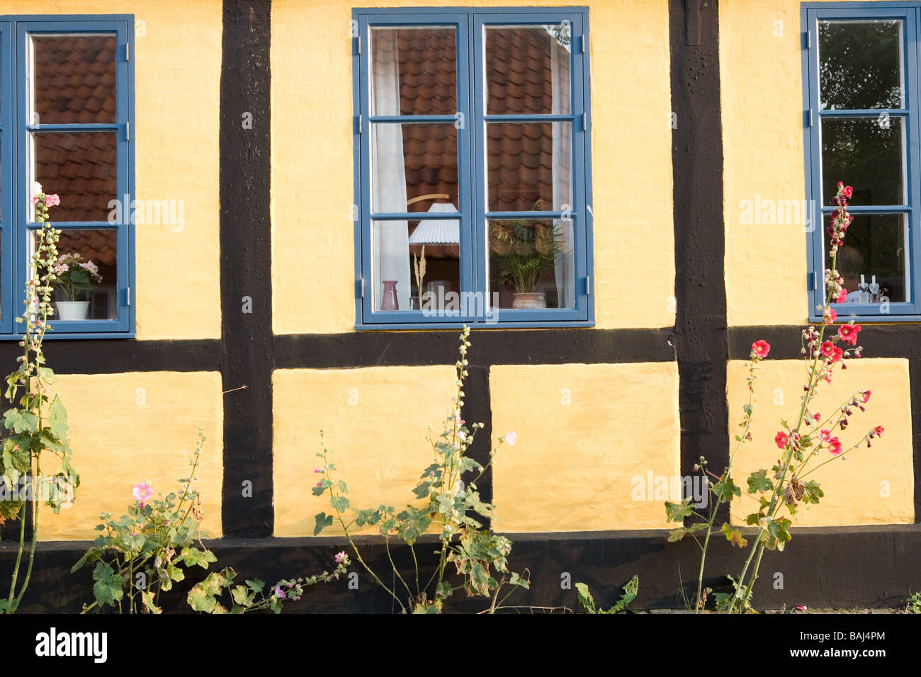 Old traditional homes in Bornholm Denmark Stock Photo Alamy