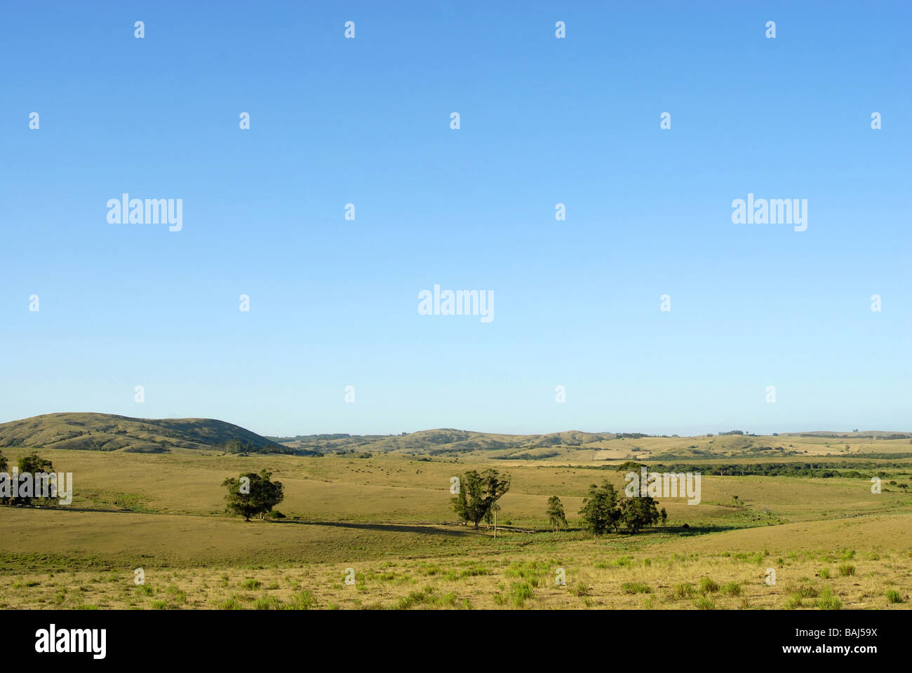 Country landscape under a clear sky Stock Photo