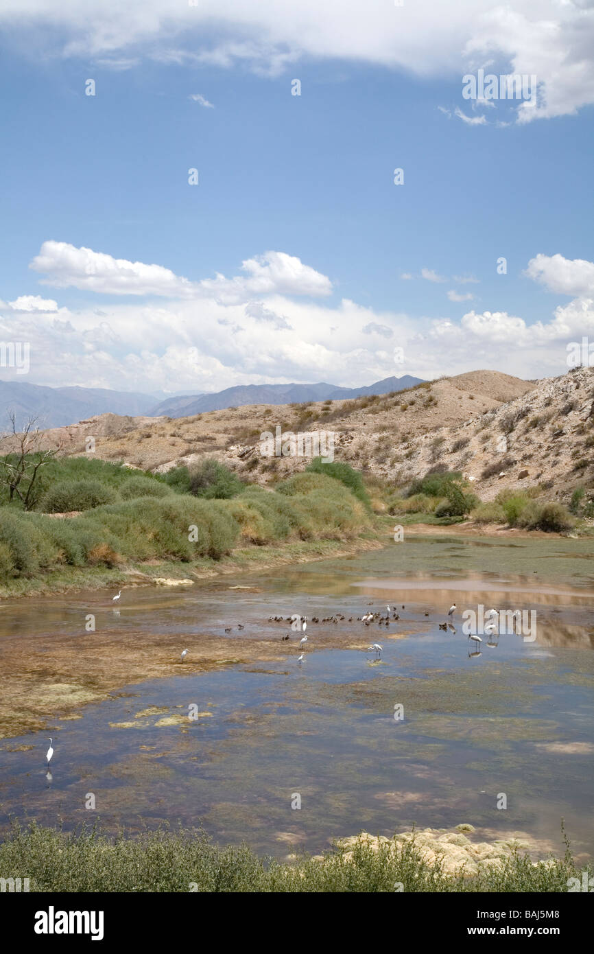 Wetlands near Molinos,  Salta Province, Argentina Stock Photo