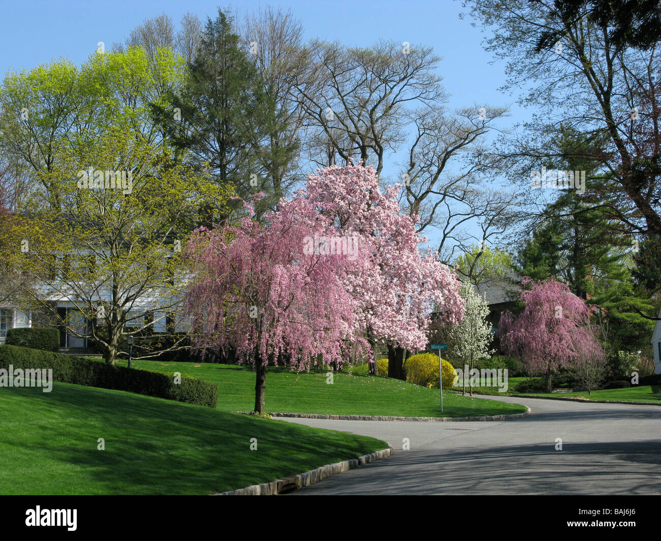 USA NEW YORK Scarsdale Westchester County Stock Photo Alamy