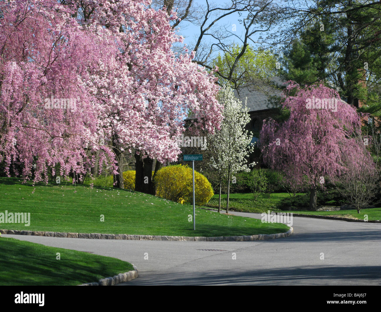 USA NEW YORK Scarsdale Westchester County Stock Photo Alamy