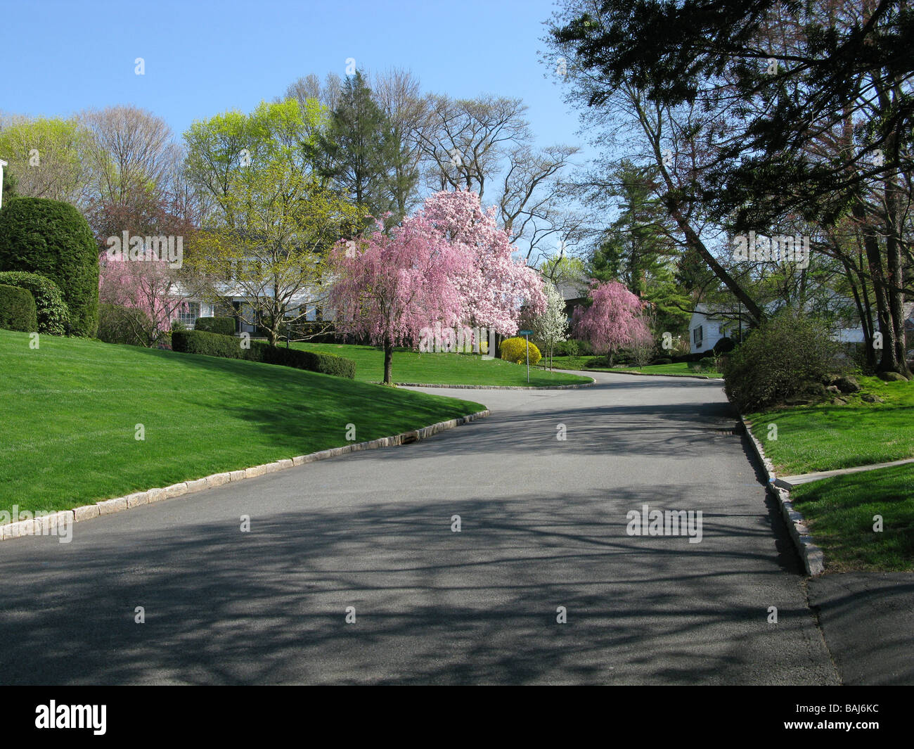 USA NEW YORK Scarsdale Westchester County Stock Photo Alamy