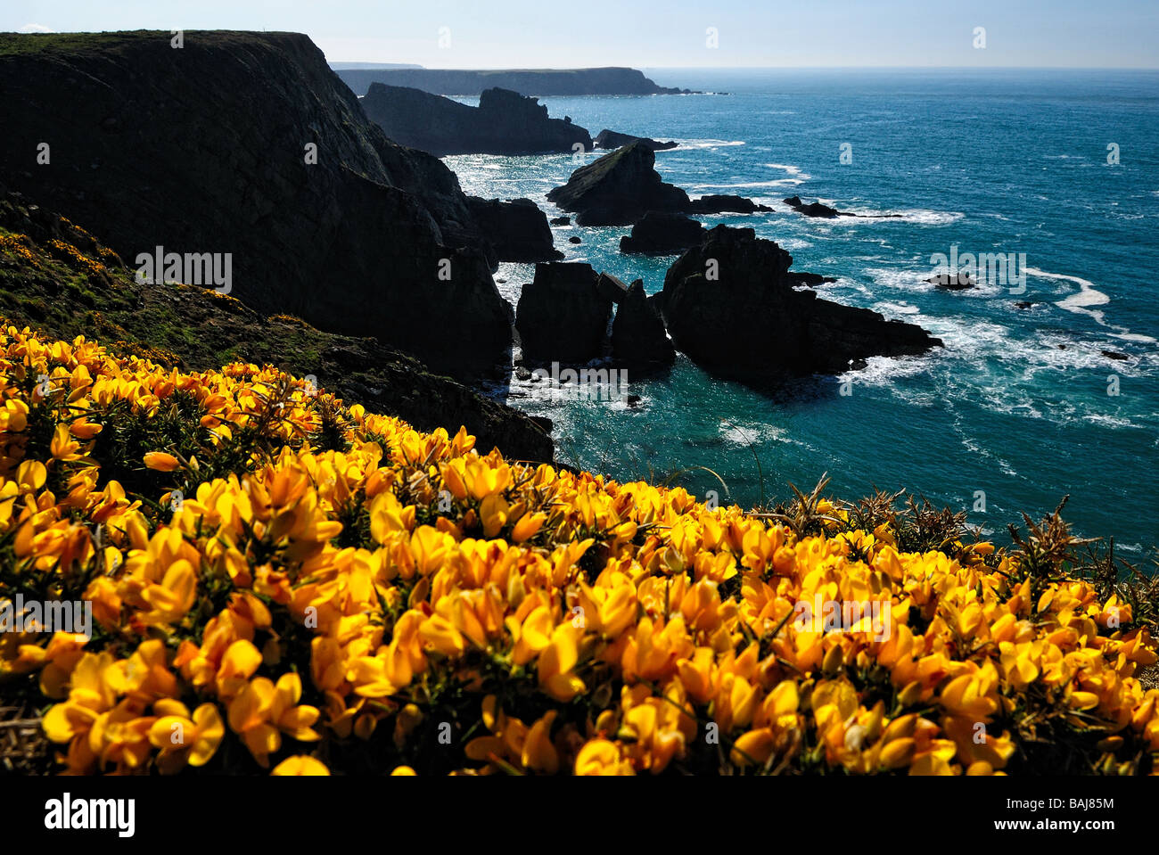 Pembrokeshire Coast National Park Stock Photo