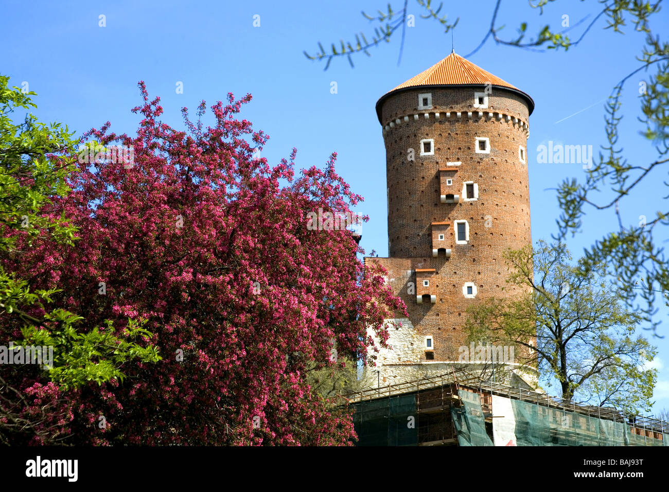Wawel Castle in Cracow Poland Stock Photo