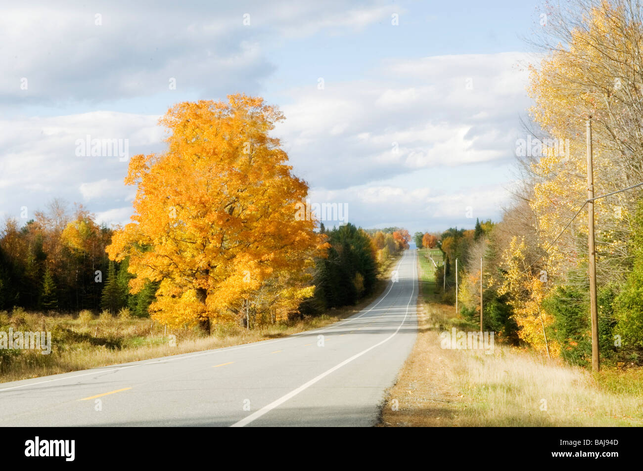 New england fall road hi-res stock photography and images - Alamy