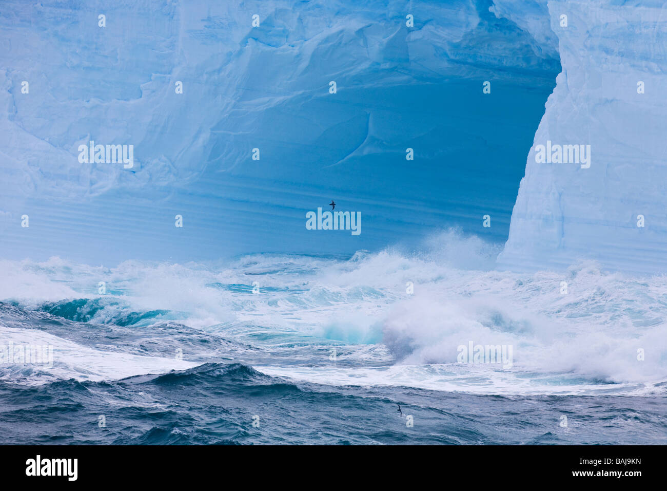 Waves from storms batter a blue tabular iceberg in the Southern Ocean Antarctica Stock Photo