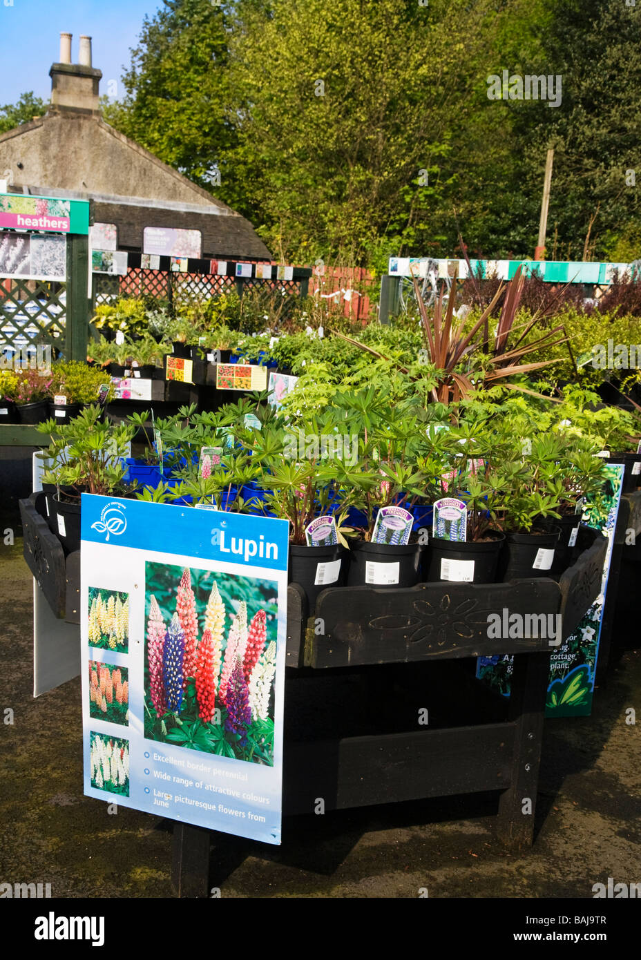 Plants displayed hi-res stock photography and images - Alamy