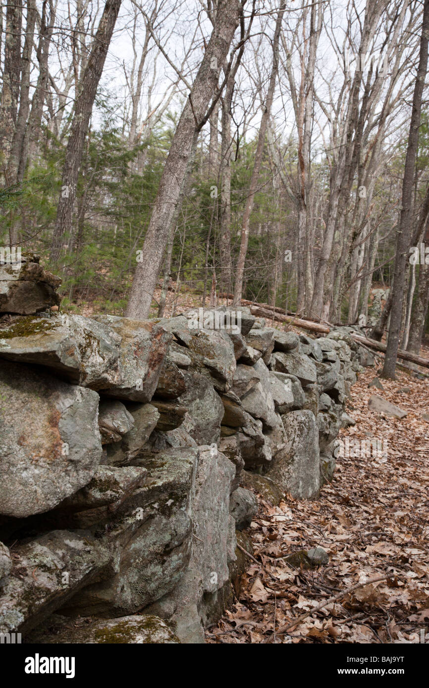 Sandown New Hampshire Town Forest during the spring months Stock Photo
