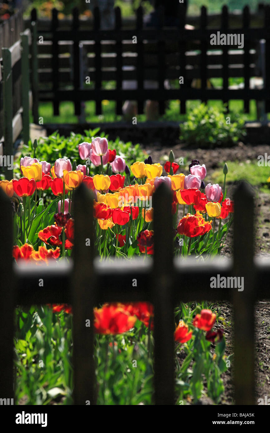 Wooden picket fence hi-res stock photography and images - Alamy