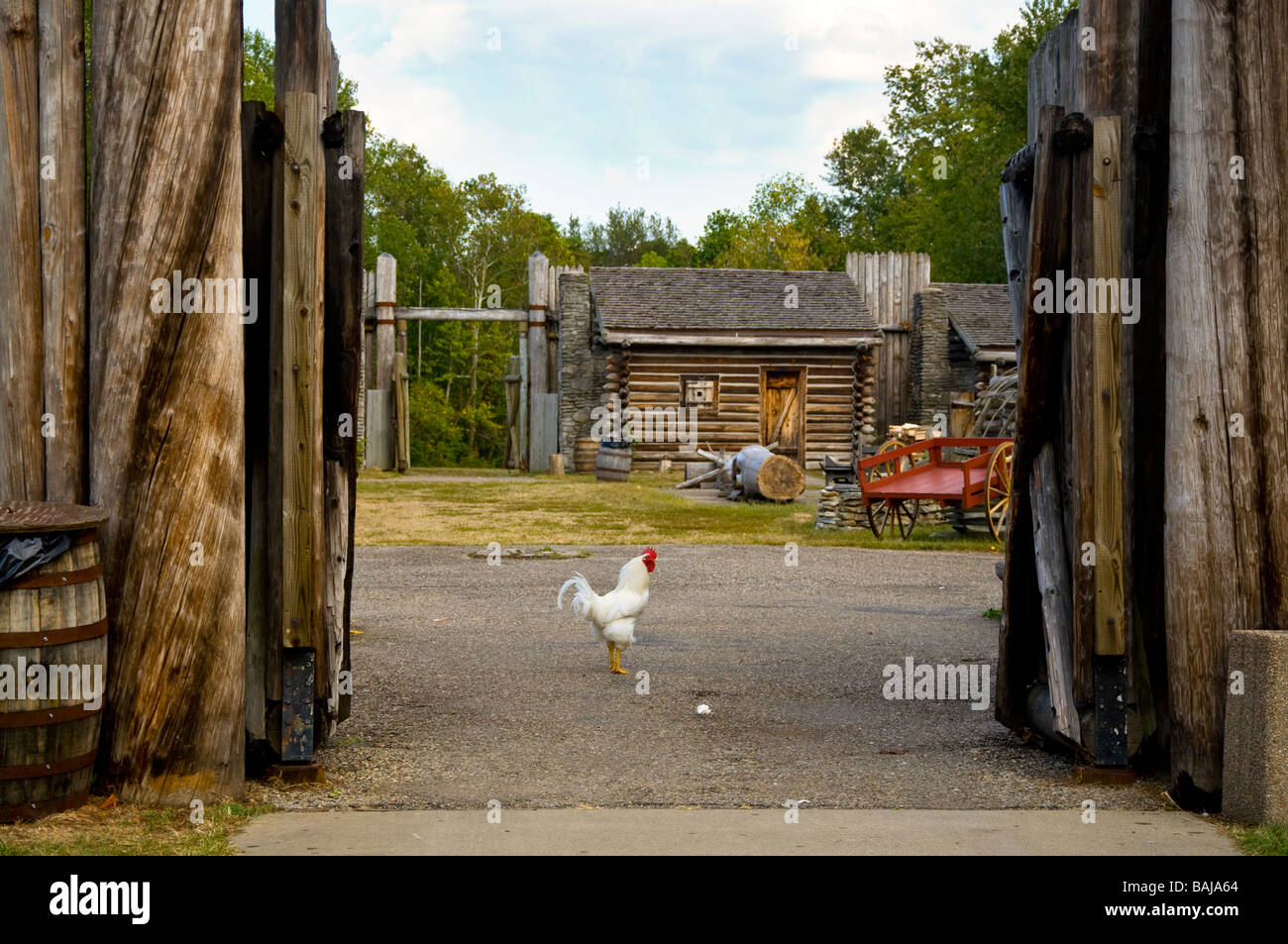 Chicken at the front of the gate at Fort Boonesborough State Park near Richmond, Kentucky Stock Photo