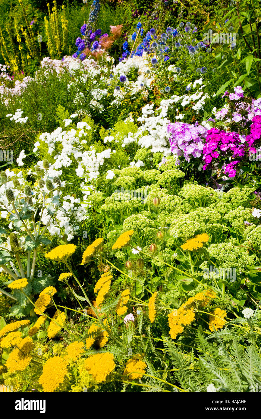 Mixed herbaceous border hi-res stock photography and images - Alamy