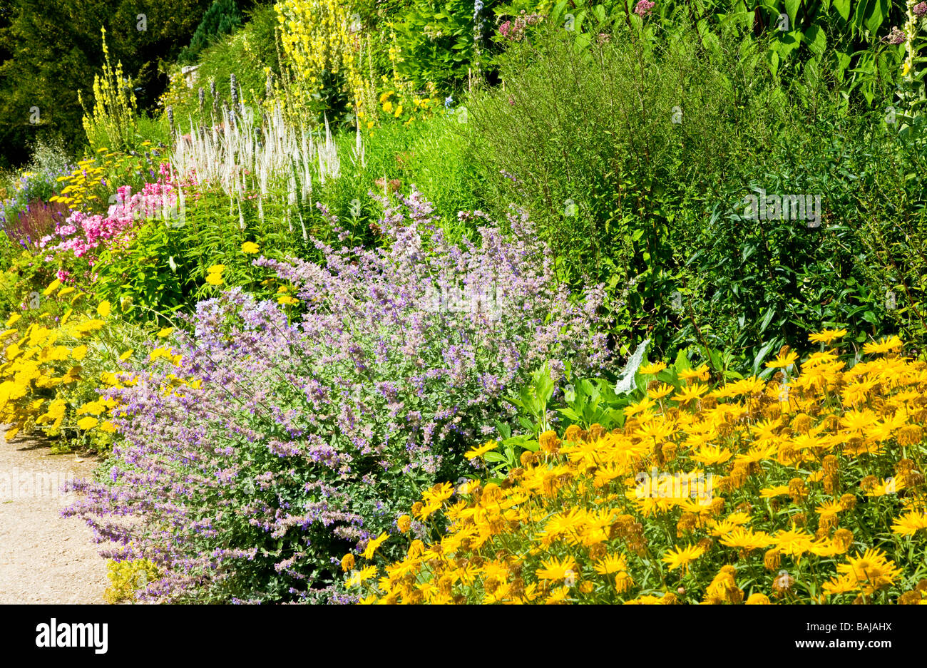 Part of the herbaceous border at Waterperry Gardens, Wheatley, Oxfordshire,Oxon, England, UK Stock Photo