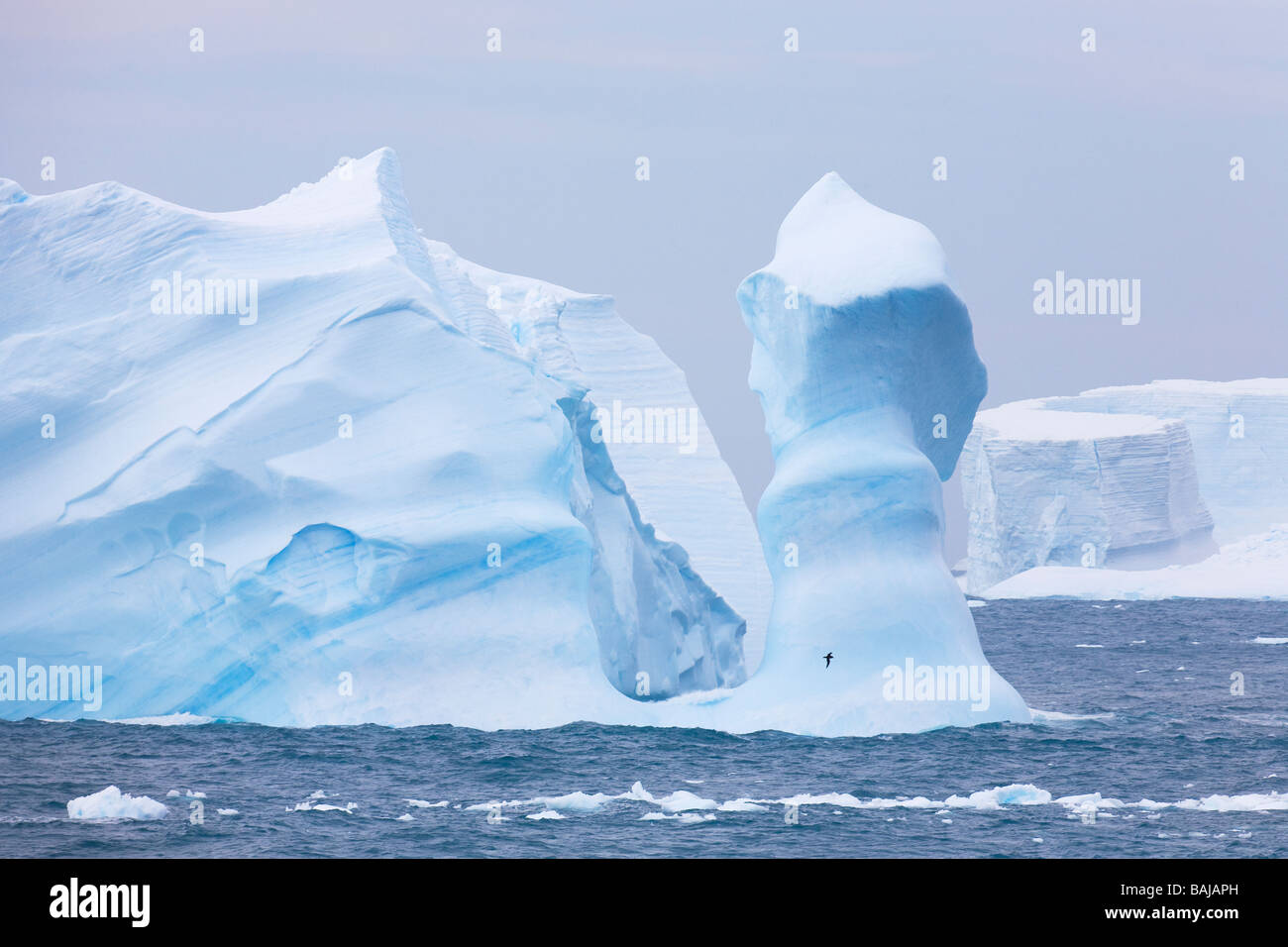 Blue tabular icebergs Southern Ocean Antarctica Stock Photo