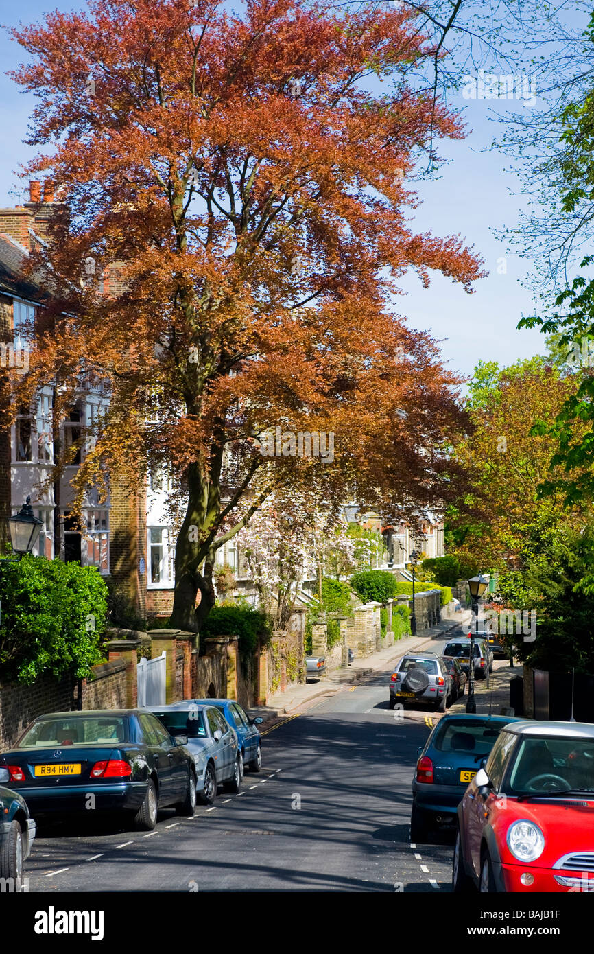 Spring in Hampstead Village , street scene of the leafy Cannon Place where trees cars & terraced houses blend into pretty lane Stock Photo