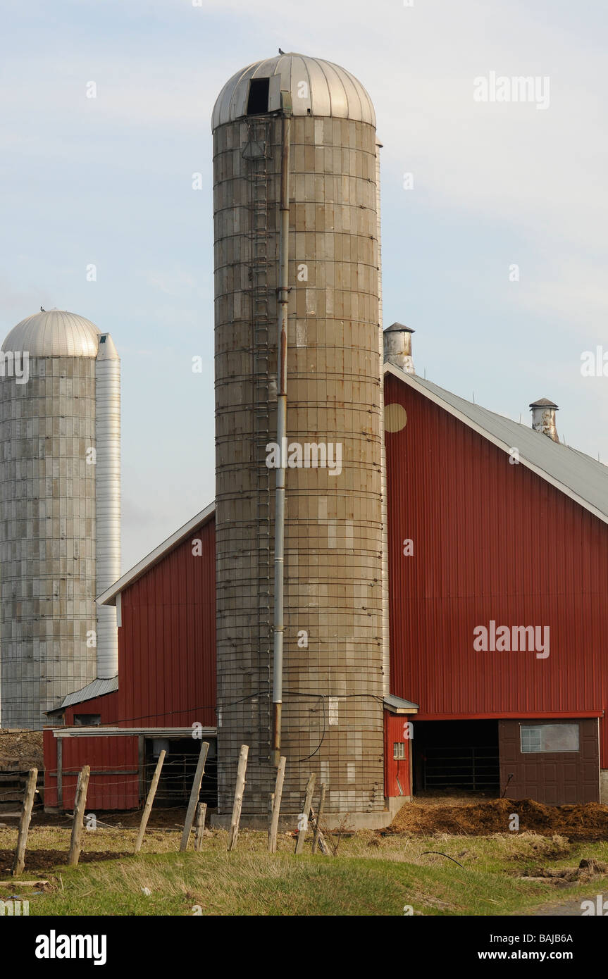 Red barn and silo dairy farm in upper state New York outside lowevciile
