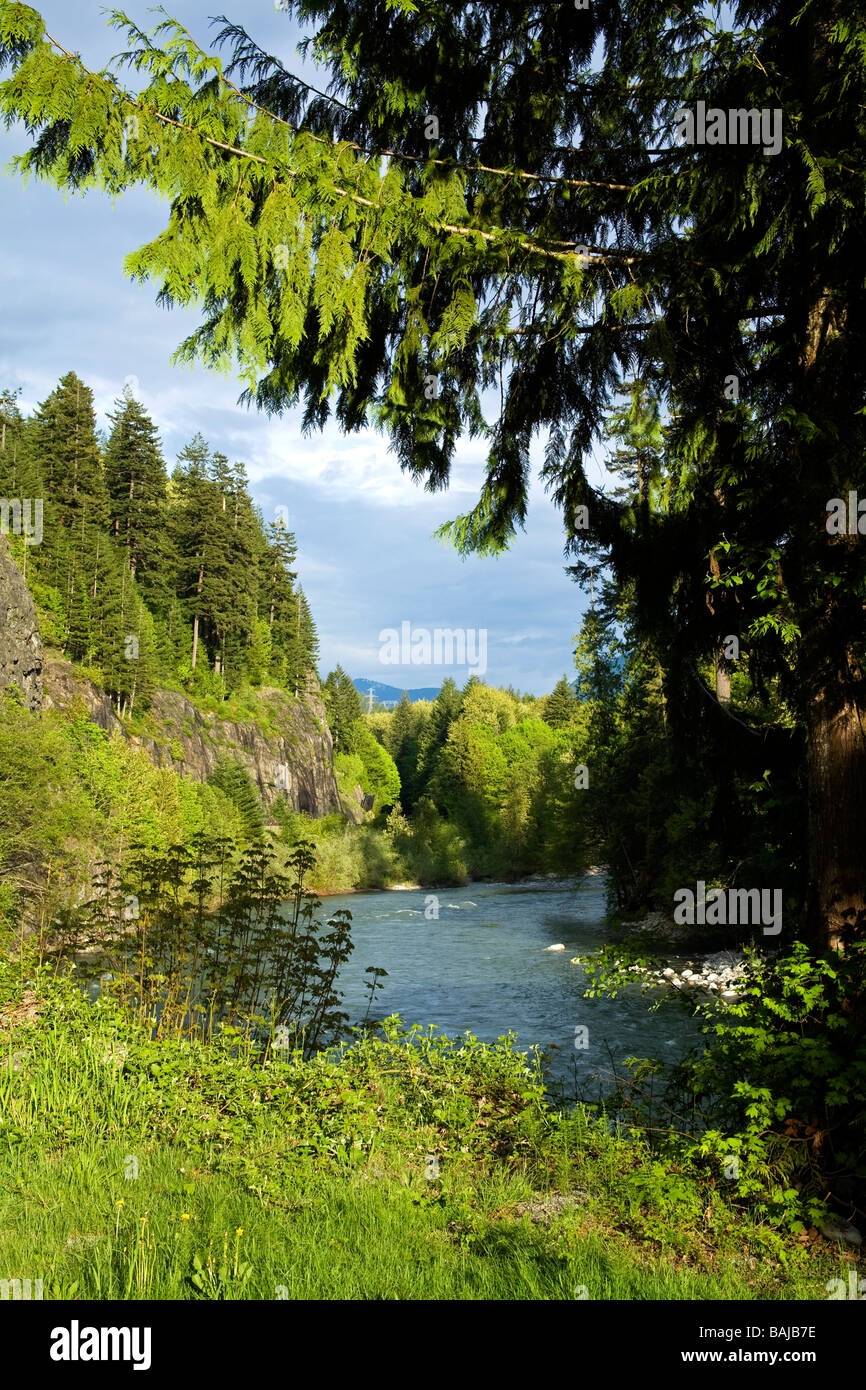 Skykomish River, Washington State, USA Stock Photo Alamy