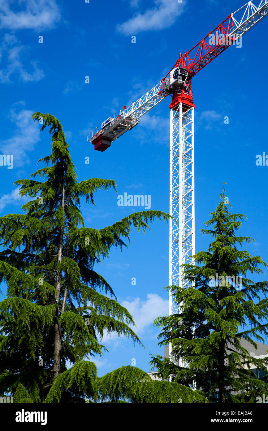Seattle, Washington State, USA; Construction Crane Stock Photo Alamy