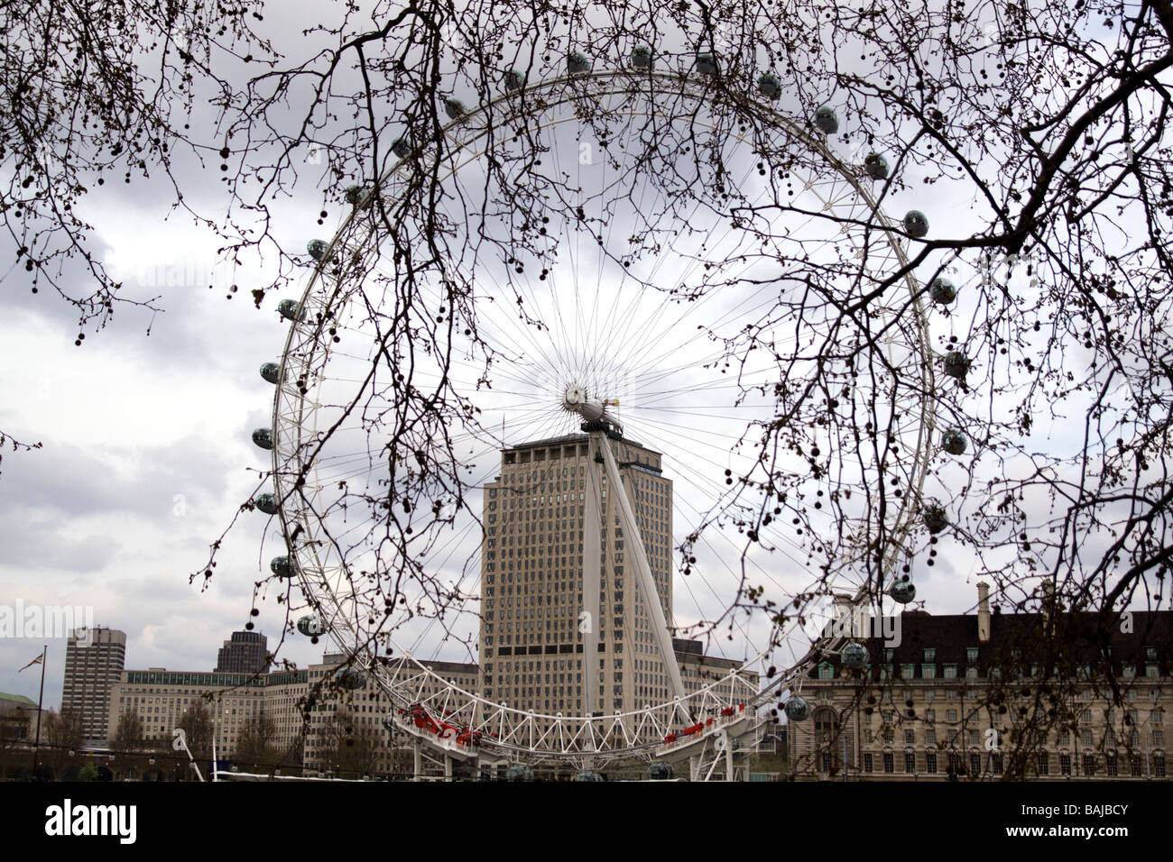 The London Eye through the trees Stock Photo Alamy